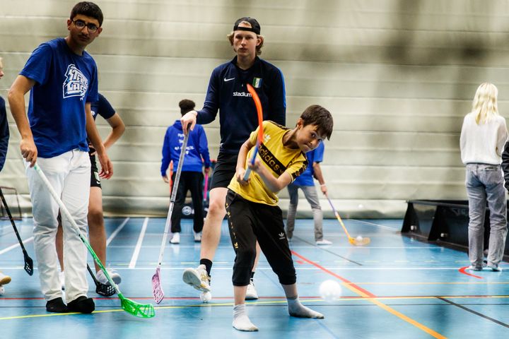 Foto: FRI att ANVÄNDA - Foto Bildbyrån.