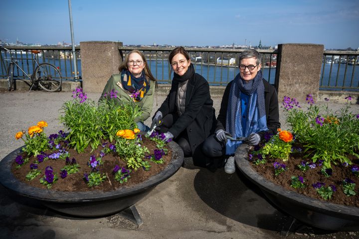 Anna Johansson, projektledare för blomsterprogrammet, trafikdirektör Gunilla Glantz och stadsträdgårdsmästare Elisabet Elfström vid invigningen av blomsterprogrammet. Foto: Sven Lindwall