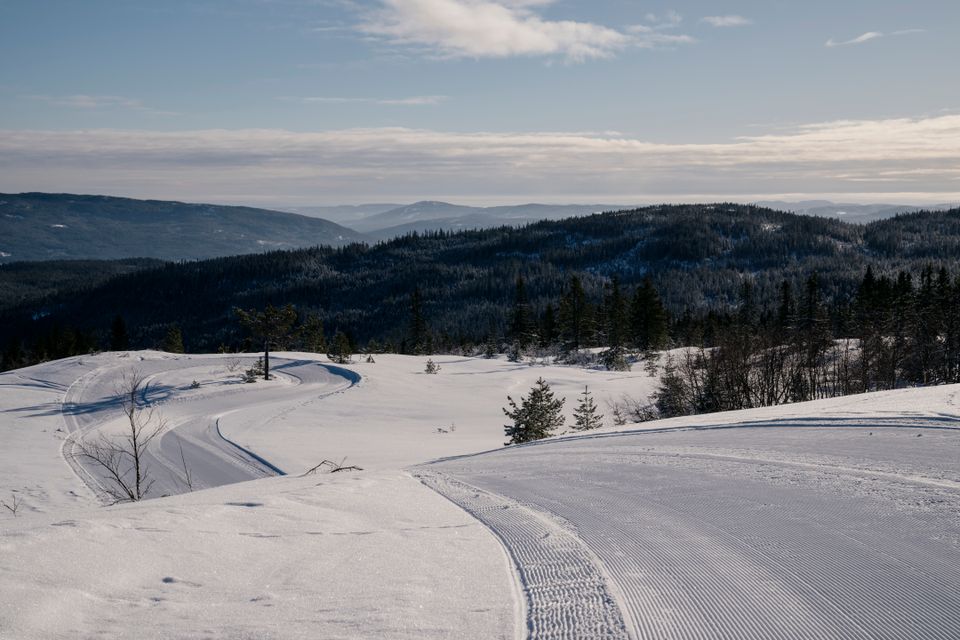Fantastisk skiddag när skidvallakursens råd behövs
