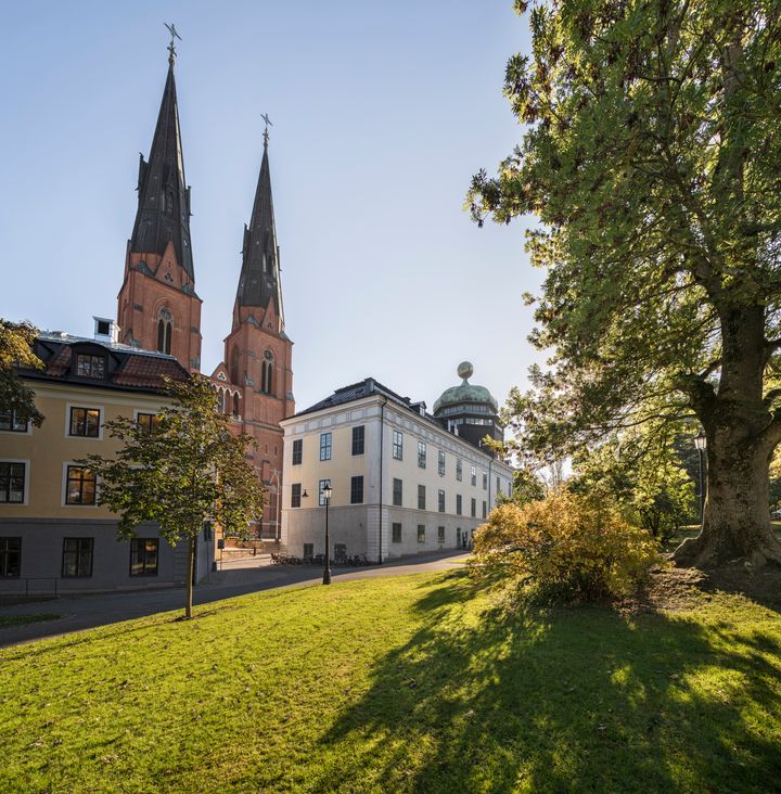 Uppsala kommun har beviljats 2,7 miljoner i statsbidrag från Delegationen mot segregation. Medlen ska användas i två projekt för att minska segregation.