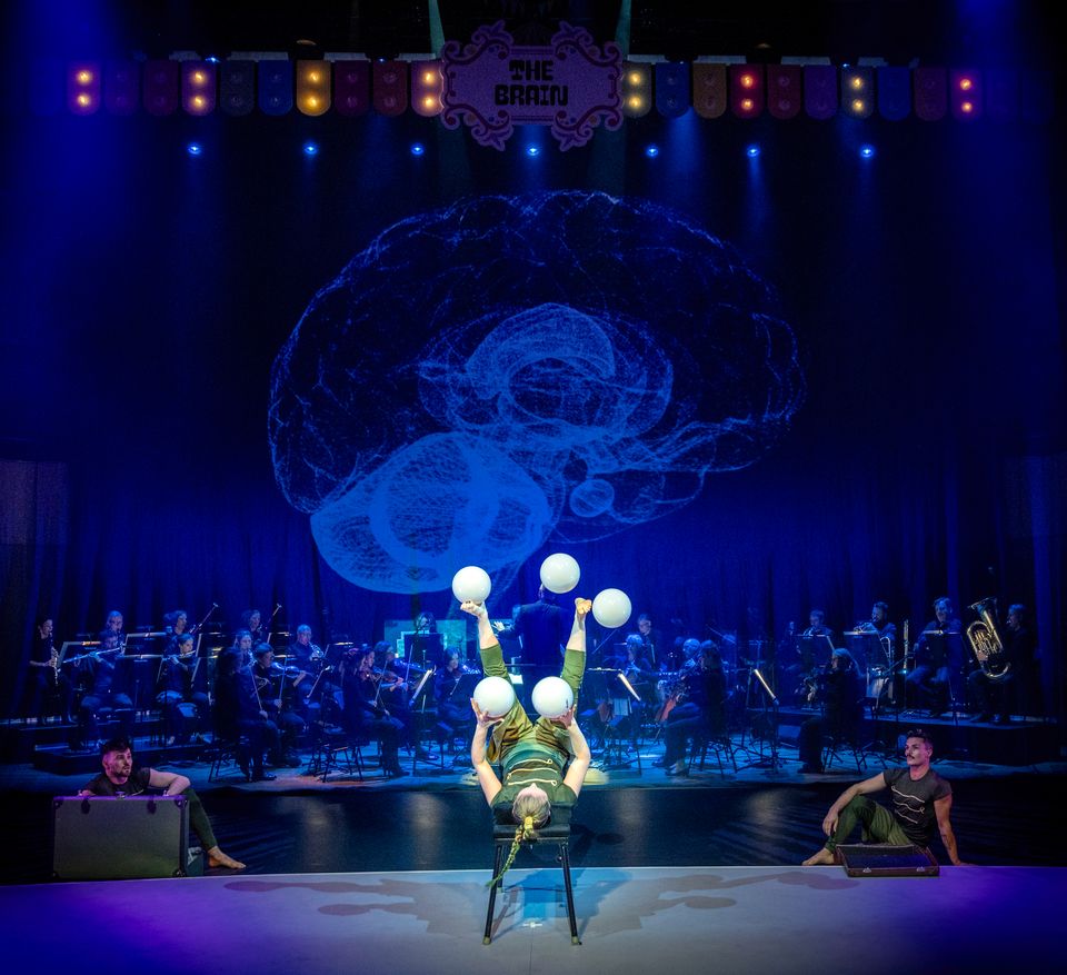 The Brain, Kulturhuset Spira