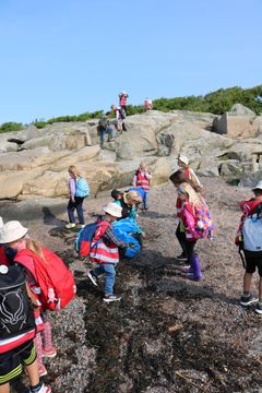 Förskoleklassen letar skräp på klipporna i Fiskebäck, Göteborg