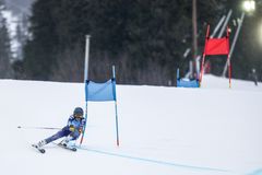 Ebba Årsjös segeråk i storslalom under världscupen i Åre. Foto: Karl Nilsson/Parasport Sverige