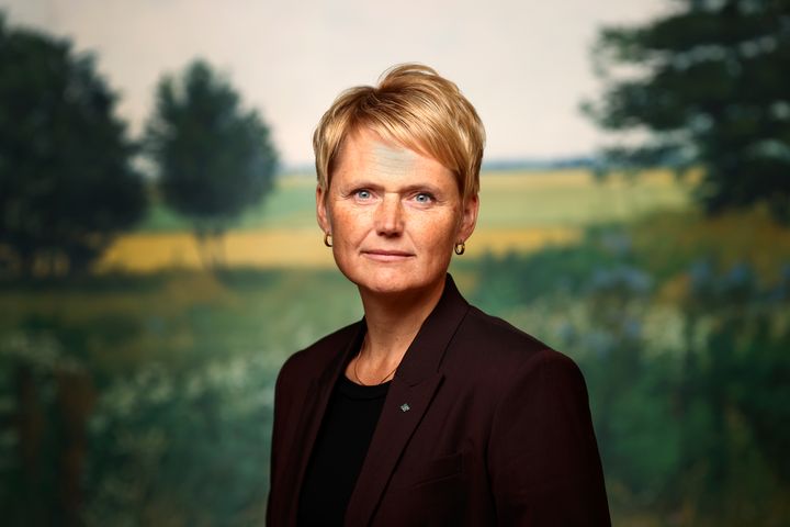 Anna Karin Hatt, LRFs vd och koncernchef.