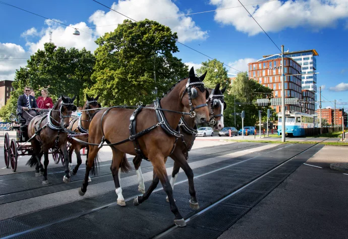 Gothenburg is making Longines FEI European Championships the most