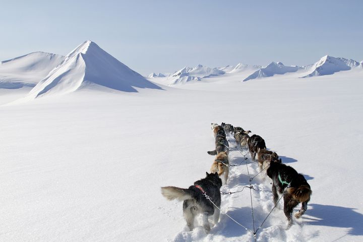 Ökat intresse för resor norr om polcirkeln – Ving lanserar resor till Svalbard | Ving AB