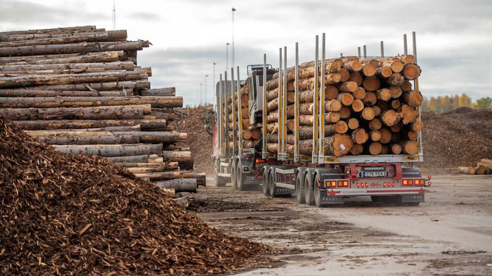 Lastning av timmer för transport 
