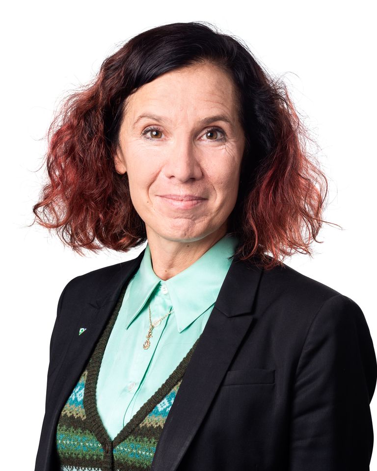 Helena Lundberg Nilsson, regionutvecklingsdirektör