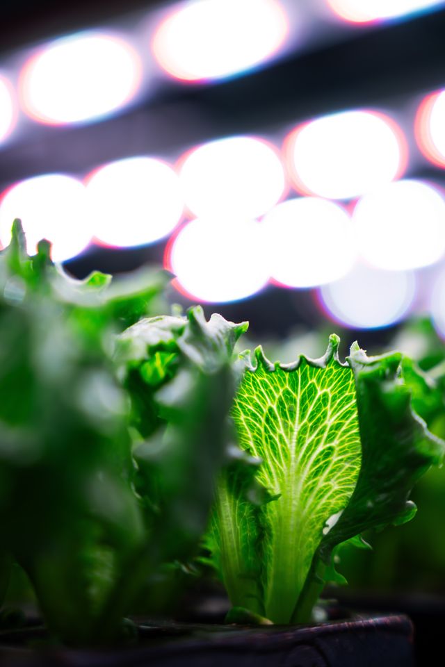 Mack Produktion 2-17