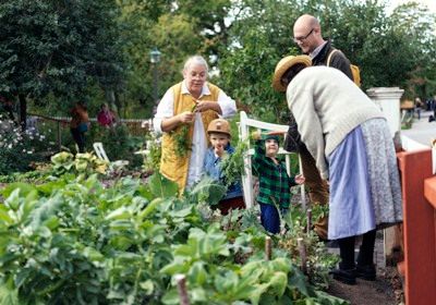 Gäster i koloniträdgården