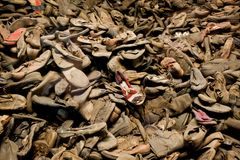 Den 27 januari är det datum som nazisternas största förintelseläger Auschwitz-Birkenau befriades år 1945. FN deklarerade dagen som internationell minnesdag över Förintelsens offer år 2005.