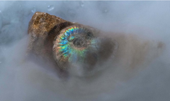 Med sin unika förmåga delar Sara Ekholm Eriksson med sig av olika perspektiv på världen, där evolutionsforskningen möter andliga föreställningsvärldar.