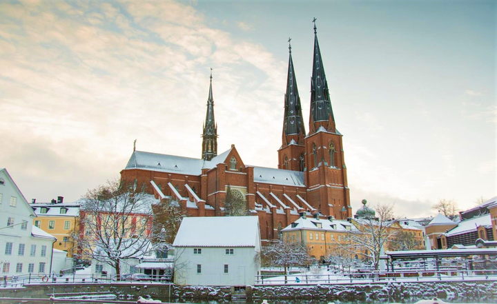 På söndags vigs två nya biskopar i Uppsala domkyrka. Foto: Johan Nilsson.