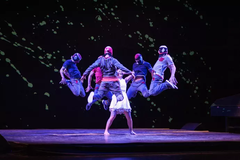 Red Bull Flying Bach