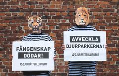 Foto: Djurrättsalliansen