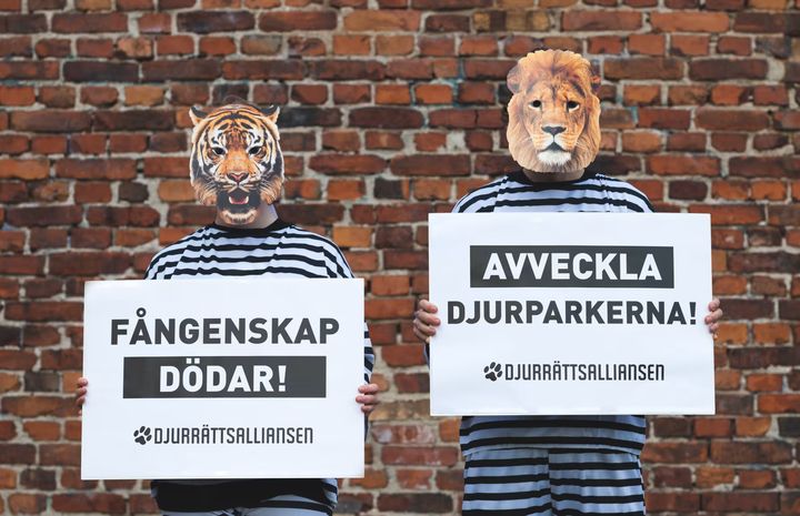 Foto: Djurrättsalliansen