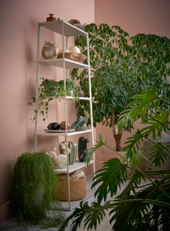 Stora gröna växter