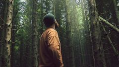 Ny hållbarhetsstrategi för träskyddsbranschen
