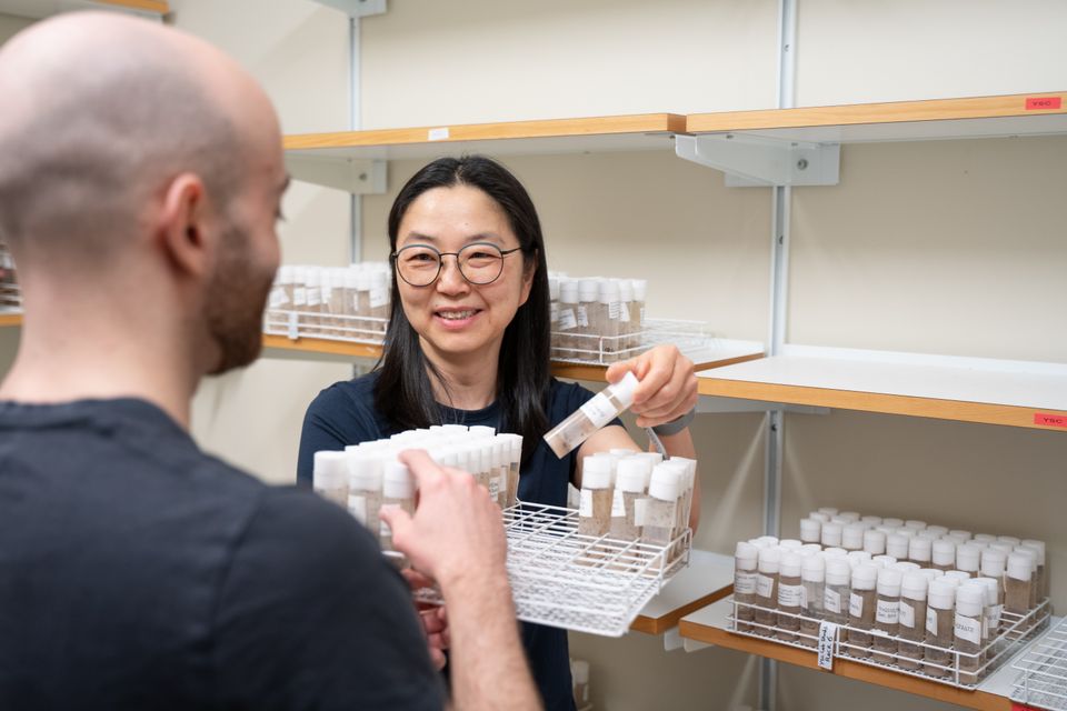 Rummet där bananflugor odlas.