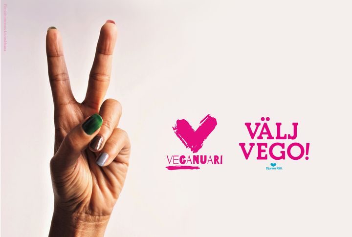 Nu startar Djurens Rätt och Välj Vego den årliga kampanjen Veganuari som utmanar dig att äta veganskt i en månad.