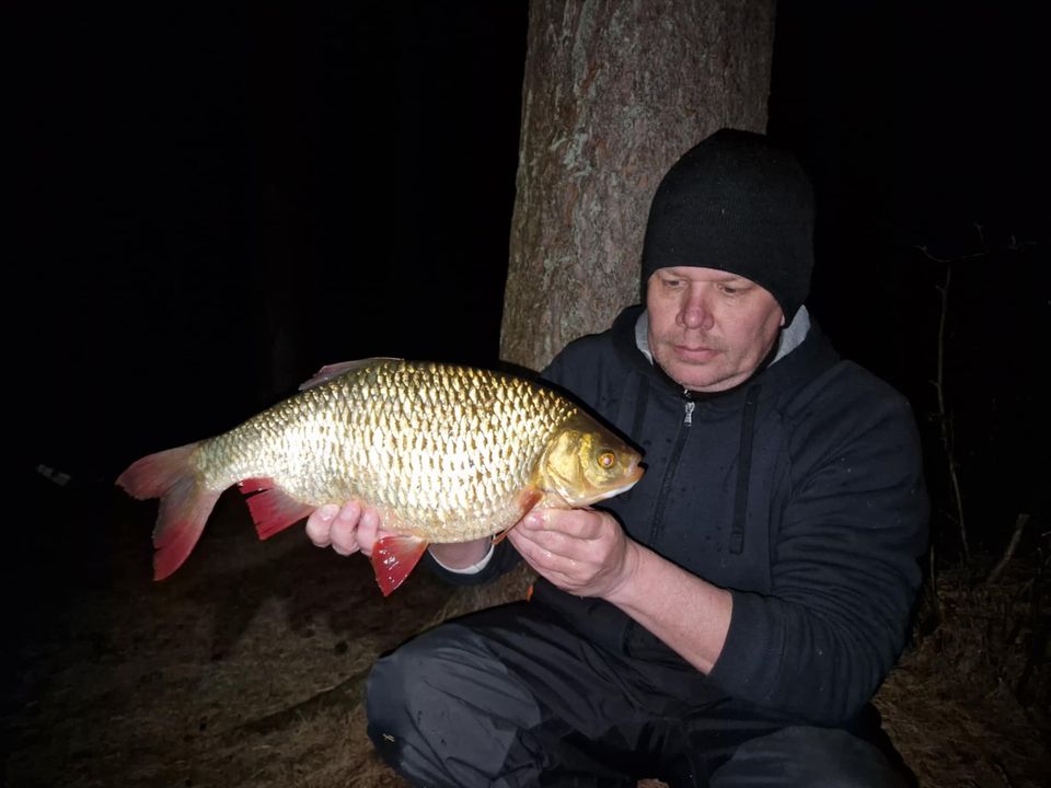 Anders Fornells storsarv