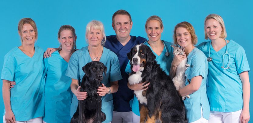 Vettris Halmstad Flygstaden Årets Djurklinik 2019