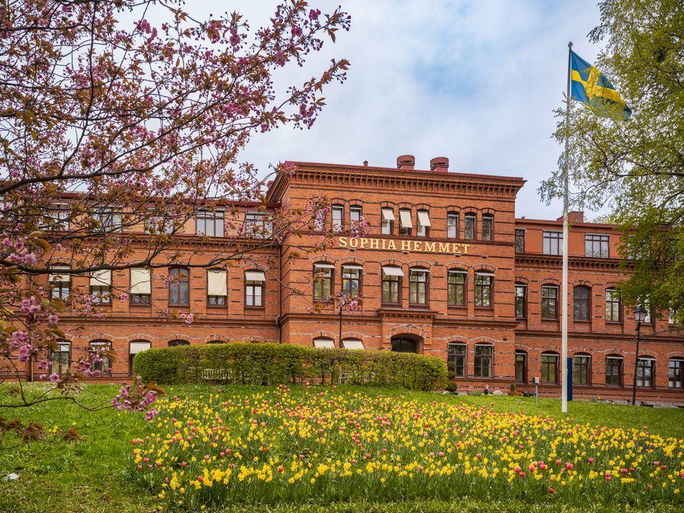Sophiahemmet, vår