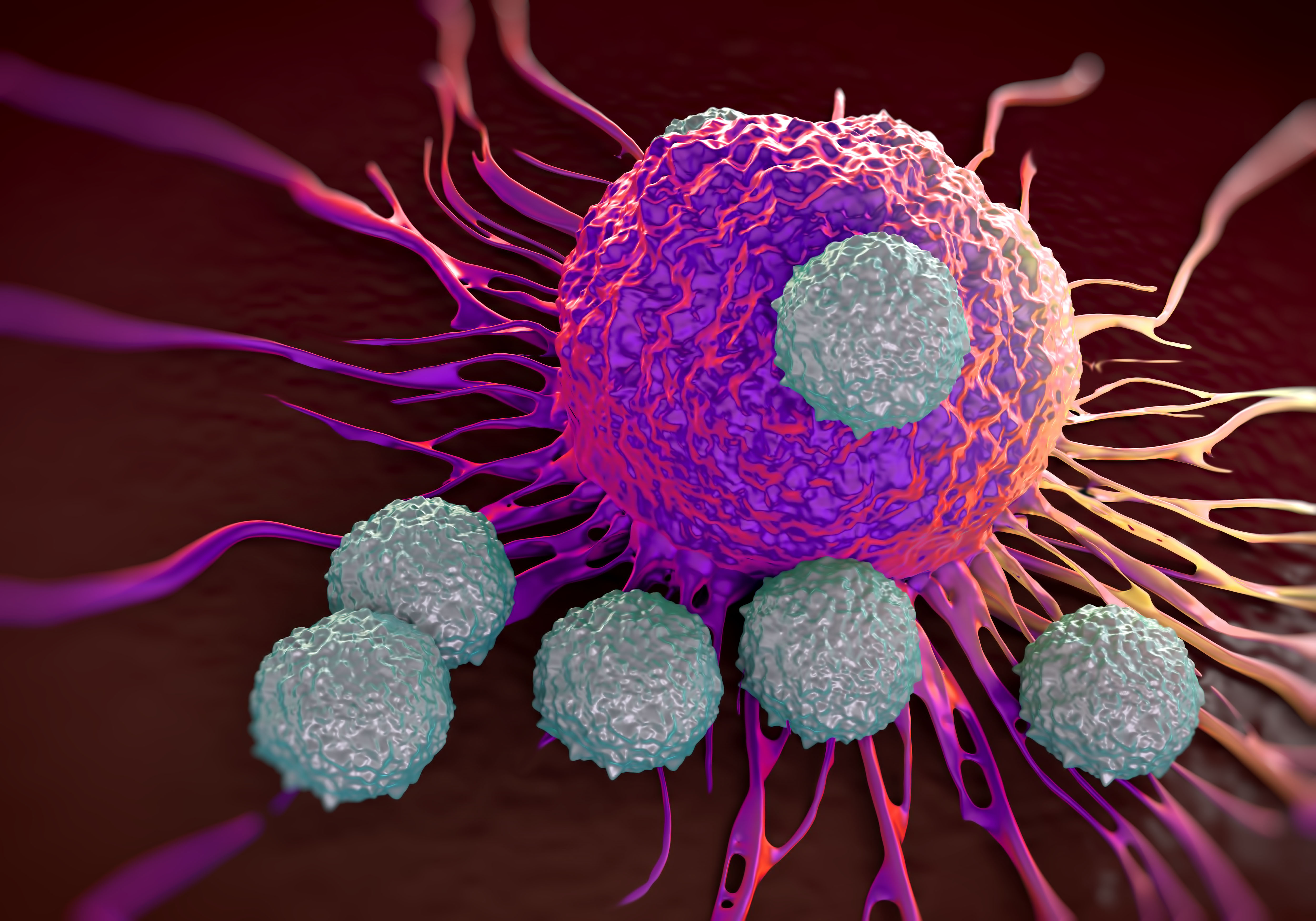 T-celler som attackerar en cancercell. Foto: royaltystockphoto