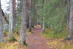 Knapperön är ett uppskattat område för vandring och friluftslivs som nu skyddas för att bevara naturvärden. Foto: Älvdalens församling