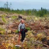 Förutsättningarna för planteringen ser betydligt bättre ut efter beskedet. Foto: Fredrik Persson