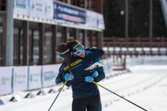 FRI BILD Magdalena Olsson och Markus Lundholm körde hem silver till Sverige vid sprintstafetten på EM i skidorientering. Foto: Timo Mikkola