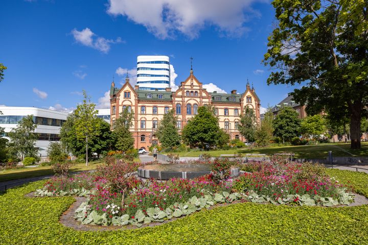 Rådhusparken i Umeå, med Stora hotellet, U&Me och Väven i bakgrunden. Foto: Umeå kommun (Fredrik Larsson)