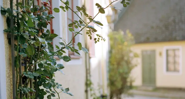 Länsförsäkringar Fastighetsförmedling öppnar i Landskrona.