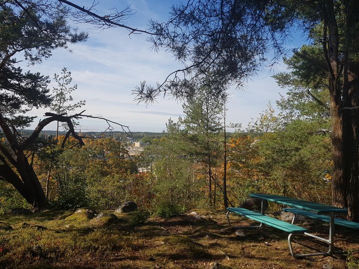 Utsikten från Folkparksberget. Foto: Henrik de Joussineau, Upplands Väsby kommun