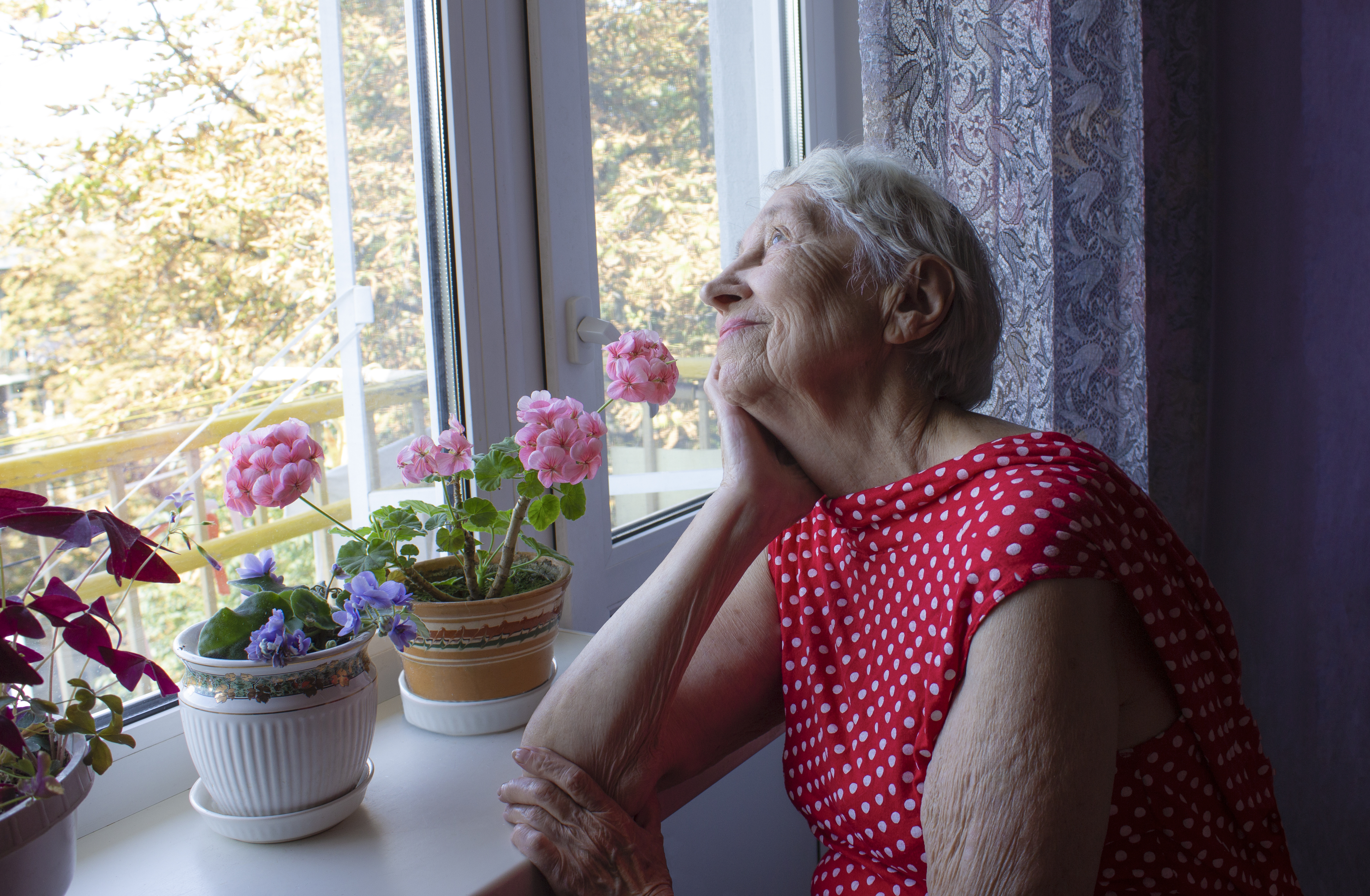 Бабушка можно к тебе приехать пожить 131. Женщина Старая у окна сидит. Окна для пенсионеров. Одинокие старые женщины. Старушка у окна.