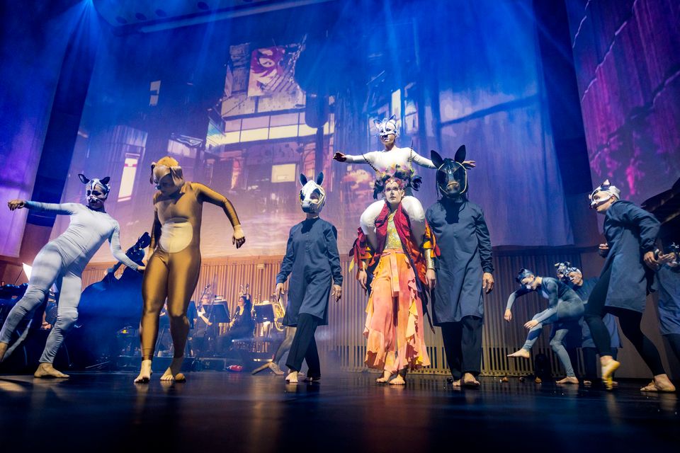 Eldfågeln_1_fotoLarsKroon