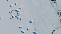 Spår av pingvinkoloni på Antarktis. Copyright: Innehåller modifierad Copernicus Sentinel data, bearbetad av ESA, CC BY-SA 3.0 IGO