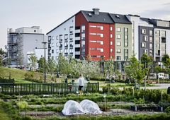 Paradiset i Vallastaden, Linköping är vinnare av Landskapsarkitekturpriset 2020. Foto: Måns Berg
