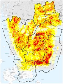 Här är risken för angrepp av granbarkborre största. Ju rödare, destor större andel av skogen finns i de högre riskklasserna. Karta: Skogsstyrelsen