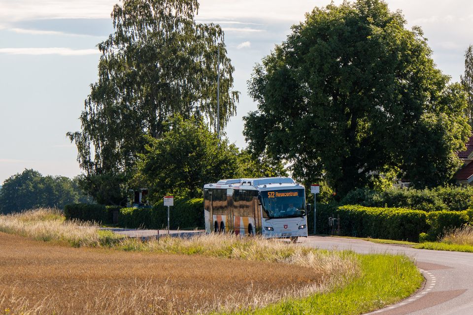 Buss Kränge