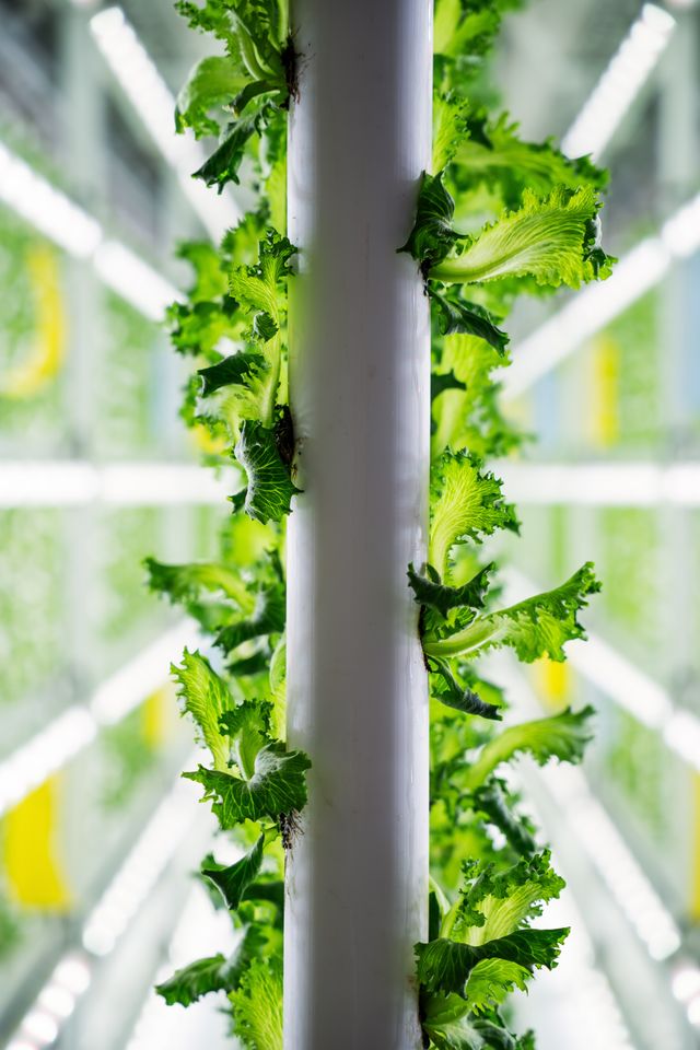 Mack Produktion 2-36