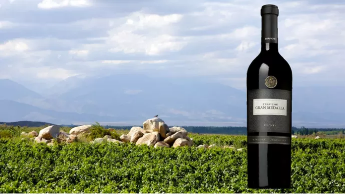 Trapiche Gran Medalla 2013