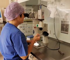 Laboratoriet på fertilitetsenheten