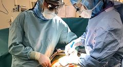 Totalt har ett tjugotal patienter transplanterats med njurar från DCD-donatorer på pilotsjukhusen i Sverige. Den första genomfördes på Akademiska sjukhuset 2019.