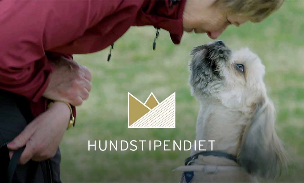 Svedea arrangerar Hundstipendiet 2023 på Hesselby Slott.