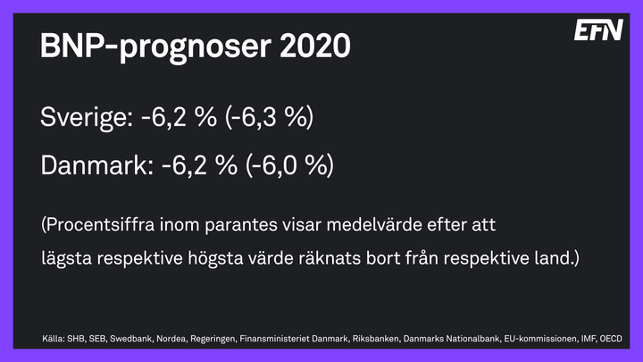 BNP-prognoser 2020. Foto: EFN Ekonomikanalen.