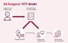 1177 direkt nås via 1177.se. Den som söker vård loggar in med e-legitimation och får svara på frågor om sina symtom. Vid lindrigare symtom kan patienterna få råd om vad de kan göra själva. Om de vill ha mer råd kan de gå vidare och chatta med vårdpersonal. Vid behov kan de få en bokad tid med vården, antingen fysiskt eller via video.