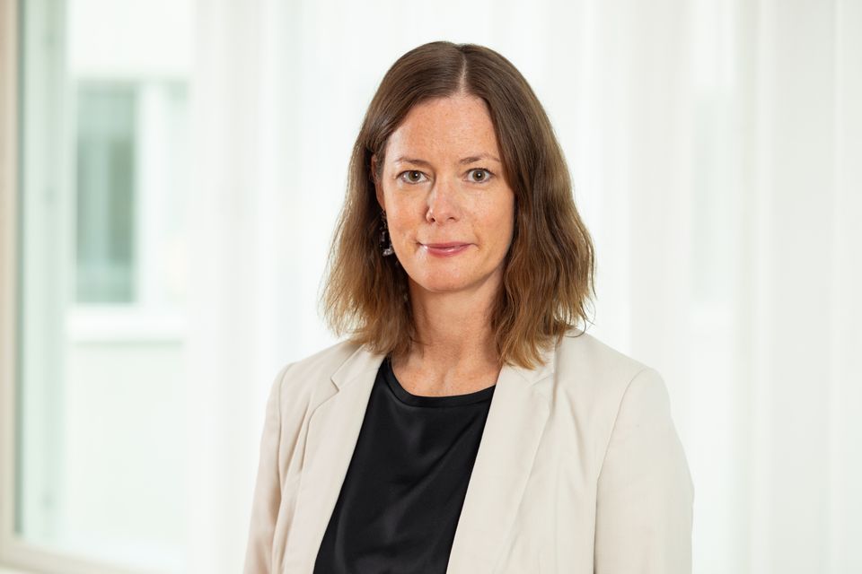 Karin Lewin, chefsjurist