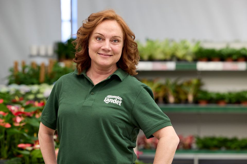 susanne-holmstrom-blomsterlandet-vd