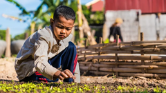 I Kambodja ger klimatförändringarna mer omfattande monsunregn och längre torka. Insamlingen från Världens Barn bidrar till utbildning i hur man kan leva och odla på ett mer hållbart sätt. Foto: Jesper Anhede/Barnfonden